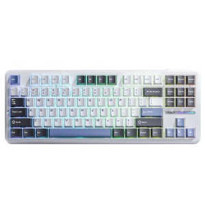 Aula F87 Mekanik RGB TKL Gray Switch Kablosuz Makrolu Hot Swap Klavye Beyaz - 4